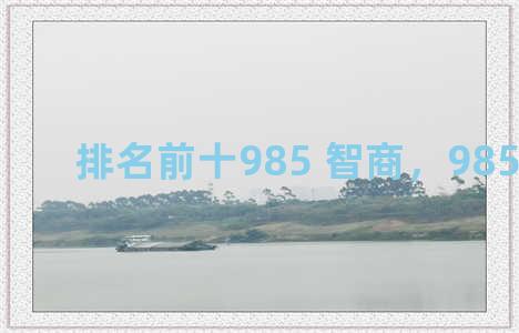 排名前十985 智商，985211智商